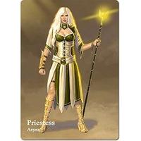 mage wars academy priestess expansion