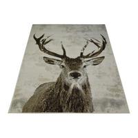 maestro winter stag rug 60 x1 10cm