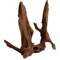 Mangrove Wood Root - 1 piece, 40-60 cm