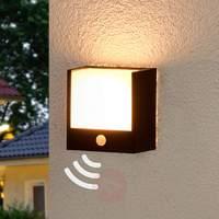 macaw led outdoor wall light with motion detector