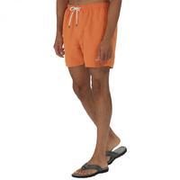Mawson Swim Shorts Carrot
