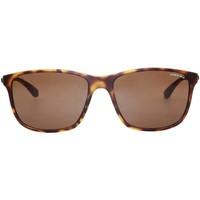 Made In Italia LERICI_01-TART men\'s Sunglasses in brown
