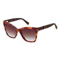 Max Mara Sunglasses MM MODERN IV U7T/J8