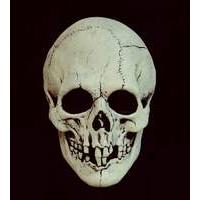 mask head night owl skull black white
