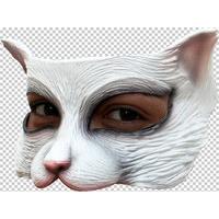 mask half white kitten