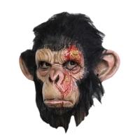 mask head chimp infected