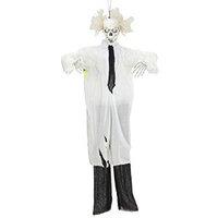 Mad Scientist Skeleton With Moving Light-up Eyes And Sound 160 For Fancy Dress