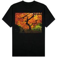 Maple Tree in Autumn