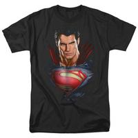 Man of Steel - Super Bust