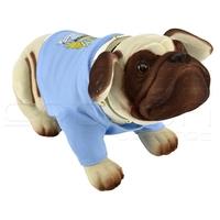 Man City Nodding Dog