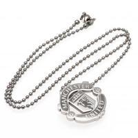 Manchester United F.C. Stainless Steel Pendant &amp;amp; Chain CR