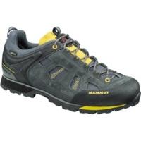 Mammut Ayako Low GTX graphite/yellowstone