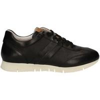 Maritan G 140658 Sneakers Man Black men\'s Shoes (Trainers) in black