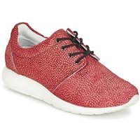 Maruti WING women\'s Shoes (Trainers) in red