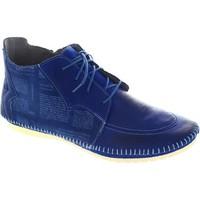 Maciejka Bronte women\'s Low Ankle Boots in blue