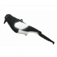 Magpie Decoy