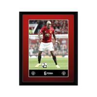 Manchester United F.C. Picture Pogba 8 x 6