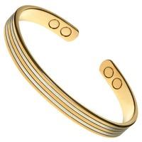 MagnaPower Two Tone Stainless Steel Lined Bangle MP106