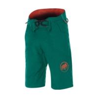 Mammut Realization Shorts pine