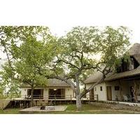 Mbizi Bush Lodge