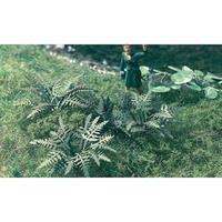 MBZ 86025 Z Fern, 20 Plants