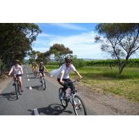 McLaren Vale Wine Tour by Bike