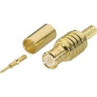 MCX connector Plug, straight 50 ? Amphenol MCX1121A1-3GT30G-5-50 1 pc(s)