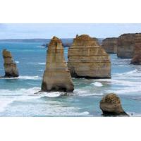 Melbourne Combo: Great Ocean Road and Phillip Island Penguin Parade Day Trip