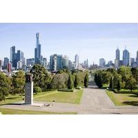 Melbourne City Tour and Phillip Island in One Day
