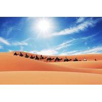 Merzouga Camel Trek for an Overnight in desert