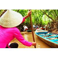 mekong delta day trip by boat including elephant ear fish lunch and th ...