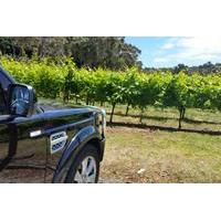 Melbourne Shore Excursion: Small-Group Yarra Valley Wine Tasting Day Trip