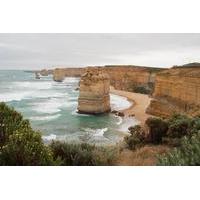 Melbourne Combo: Melbourne City Sightseeing Tour and Great Ocean Road Day Trip from Melbourne