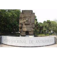 Mexico City Half-Day Tour with Museum of Anthropology