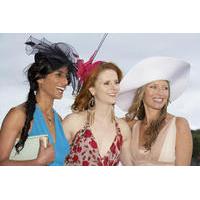 Melbourne Cup Carnival: Spring Racing Day Cruise Package