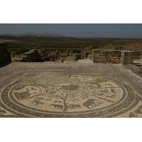 mekns and roman ruins of volubilis day trip from fez