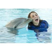 Mediterraneo Park: Swim with Dol...