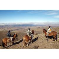 Mendoza Horseback Riding Tour with Traditional Argentine Asado