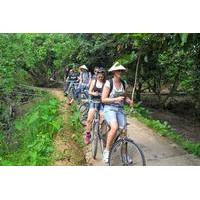 Mekong Rural Life 3-Day Tour with Homestay