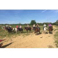 Memphis Trail Ride by Horseback