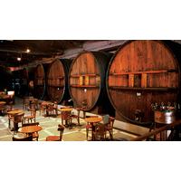 Mendoza Wineries Independent Adventure