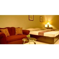 Metro Room Budget Hotel