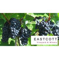 Meet the Winemakers Tour for Two at Eastcott Vineyard, Devon