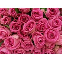 MegaBox - 50 Pink Roses