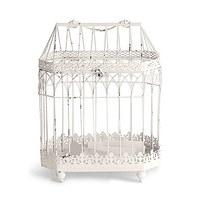 Metal Bird Cage - Conservatory Style