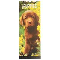 mega value puppies slim calendar