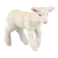 Merinos Lamb
