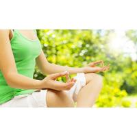 Meditation Audio Online Course