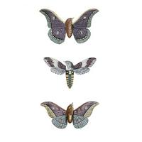 metamorphic moth birds by penelope kenny
