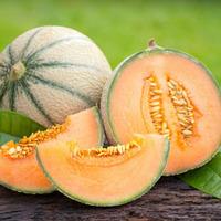 Melon \'Emir\' F1 Hybrid (Seeds) - 1 packet (10 melon seeds)